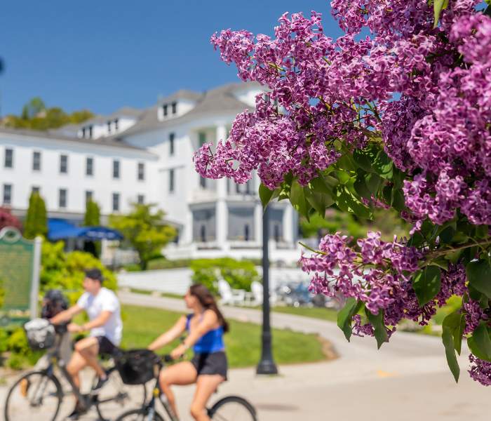 Two people riding by Island House Hotel on Mackinac Island with lilacs blooming.